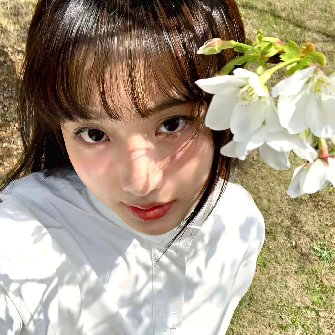 中国蓝盔 在线观看